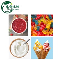 Poudre de Dextrine Blanche de Qualité Alimentaire Haute Pureté Résistante 25kg Certifiée MSDS Marque The Life Tree Expédition Directe de l'Usine Chinoise