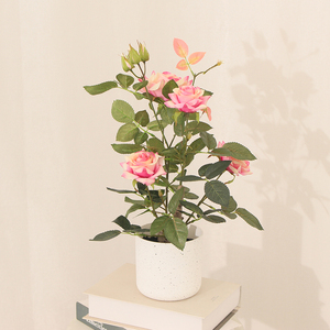 Arbre de Camélia Artificiel de Haute Qualité Rouge/Jaune <span class=keywords><strong>en</strong></span> Pot pour Décoration Intérieure/Extérieure et Aménagement Paysager (Plante de Rose) - Product Image 5