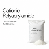 Polyacrylamide Cationique CPAM Zhendong, Floculant en Poudre pour Traitement de l'Eau à Haute Densité de Charge, Pureté 99%, pH 5.0-7.0