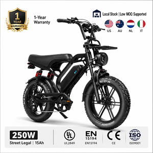 QMHEEL V20 Limited 48V Bicicleta Eléctrica Urbana con Batería de Litio, Almacén en Italia y Países Bajos para Cadenas de Tiendas Minoristas, OEM, ODM - Product Image 1