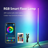 Lampe de sol intelligente RGBIC, blanc chaud et froid, lampe d'angle, synchronisation musicale, modes de scène, lampe de sol LED intelligente pour chambre à coucher, salon