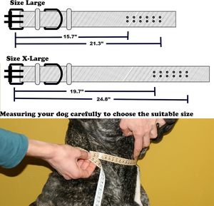 Collares para Cachorros, Collar de Nailon para Mascotas, Collar Táctico de Nailon con Herrajes de Primera Calidad, Buena Elección para Todas las Razas de Perros - Product Image 5