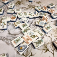 Set Mahjong Pantai Laut 2 Lapis Desain Kerang Karang Merah Muda Biru Putih Akrilik Ramah Lingkungan Langsung dari Pabrik Siap Kirim Cepat