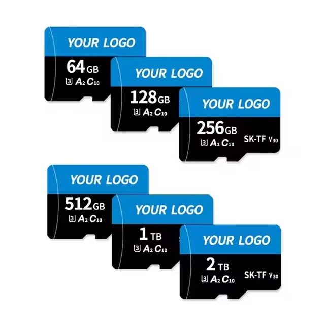 High Speed for SanDisk Micro SD Card 16GB 32GB 64GB 128GB 256GB Class10 U3 for CCTV Video Recording