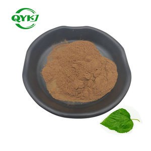 卸売最安値 10:1 天然桑の葉エキス 純粋桑の葉粉末 - Product Image 1