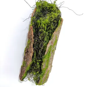 סיטונאי מלאכותי מלאכותי קליפת עץ עם מוס תליית צמח קישוט