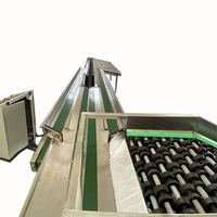Oranje Macadamia Kiwi Kersen Fruit Groente PLC Gecontroleerde Fruitverwerkingsinstallatie Sorteermachine