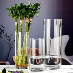 تخصيص عالية الجودة بسيطة زهرية زجاج أسطوانية الشكل زخرف المنزل بمزهرية زجاج سميكة اوعية الزجاج الشفاف