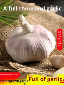 กระเทียมแห้งพันธุ์เก่า กลิ่นหอม ปี 2025 หัวกระเทียมจากฟาร์ม 2.5 กก. ผิวสีม่วงขาว 0.5 กก. 4.5 กก. ราคาขายส่ง แผ่นดินใหญ่ - Product Image 4