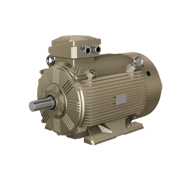 WO.LONG Low Voltage High Power Electric Motor IE3 IE4 Premium Efficiency Cast Iron Body Heavy Duty Industrial Application IP55