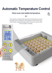 Wonegg xu hướng mới 36 lồng ấp trứng hoàn toàn tự động lồng ấp trứng cho gà - Product Image 4