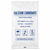 Sacs PE thermosoudés robustes à intérieur lisse avec logo personnalisé pour l'emballage de produits chimiques en poudre à décharge complète