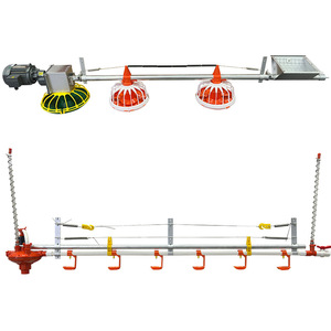 Casa de aves de corral de icono similar para 10000 pollos/pollos de engorde bebedero de pezón de aves de corral y bandeja de alimentación - Product Image 5