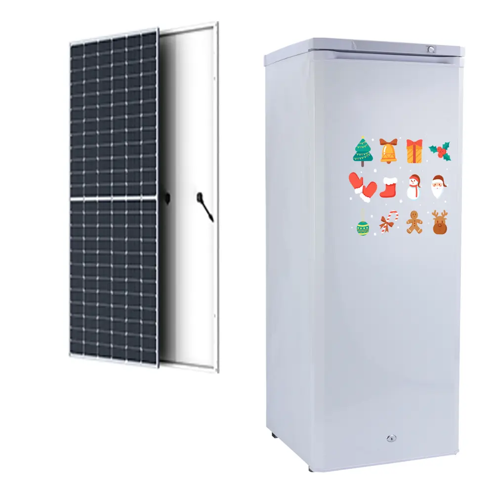 Réfrigérateur de machine à glaçons de style populaire réfrigérateur vertical à porte unique alimenté par un système solaire efficace 198L bonne congélation
