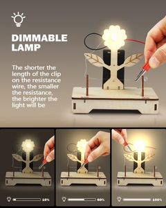 OEM STEM Kits para Crianças Com Idade 7-12 3D Puzzles De Madeira Crianças Science Experiment Kit Stem Brinquedos Educativos - Product Image 4