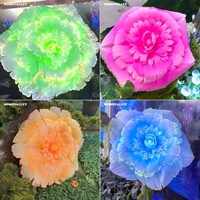 Lumière LED en forme de lotus des neiges Momovalley avec fibre optique pour l'aménagement paysager, les festivals et les spectacles lumineux