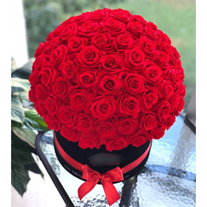 <strong>Enchanted</strong> Stabilized Infinity Roses Long-Lasting Preserved Flower Box for Valentine's Day and Mother's Day Gifts - Product Image 5