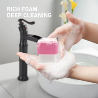 BL 2024 Offre Spéciale 2 en 1 silicone ECO paille de blé double extrémité brosse de nettoyage du visage brosse de nettoyage du visage de haute qualité