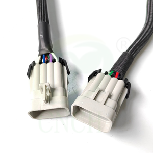 توصيل وتشغيل محركات السيارات الفرعية EFI-من أجل هولي + LS - Product Image 2