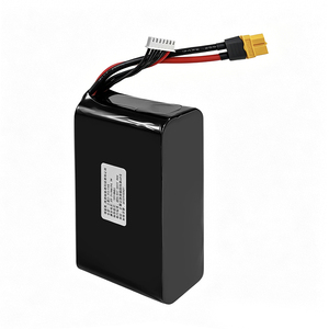 HOZHM High-power 6S2P 10Ah 222Wh Portable Power Station Output High Capacity Semi-solid State 800-Cycle IN - Product Image 5