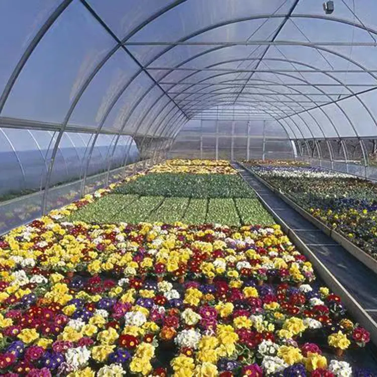 Сельскохозяйственное хозяйство, однопролетный туннельный тент для выращивания теплиц, арочная форма, высокий зеленый дом для питомника