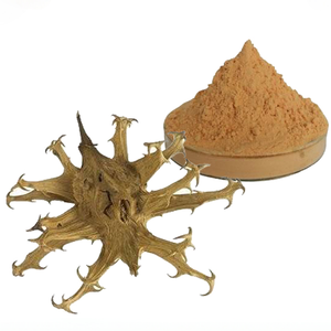 Factory Supply <strong>Harpagophytum</strong> <strong>Procumbens</strong>, Devils Claw <strong>Extract</strong> 4:1 Devil's Claw <strong>Root</strong> Powder