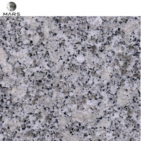 Dalles de granit gris en gros, marches et contremarches, escaliers et marches en pierre naturelle