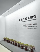 9 - 15 W Module d'éclairage respectueux de l'environnement Led Wall Washer Illuminated Wall Effect Wall Grazer Downlight pour galeries d'art