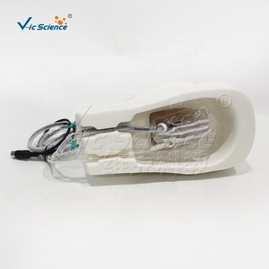 Modelo <span class=keywords><strong>de</strong></span> Simulación <span class=keywords><strong>de</strong></span> Hemorragia Nasal <span class=keywords><strong>de</strong></span> Alta Precisión, Modelo <span class=keywords><strong>de</strong></span> Estructura <span class=keywords><strong>de</strong></span> Cavidad Nasal <span class=keywords><strong>de</strong></span> PVC para Primeros Auxilios y Educación Médica - Product Image 6