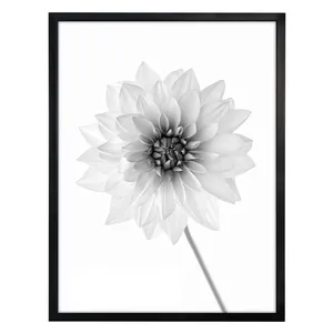 Black Deep Molding Frame with Plexiglass Cover Rustic Design Format Includes Hanging Hardware Wall Display Art