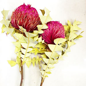 Fleurs décoratives de style nordique, 1 pièce, séchées, plantes, amplification pour arrangement floral, été - Product Image 5