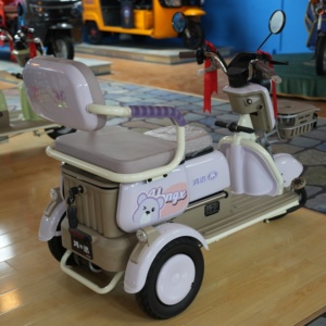 Tricycle d'extérieur à 3 roues, deux places, tricycle pour adultes avec passager - Product Image 1