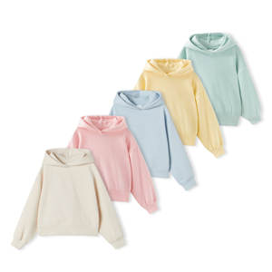 2024 automne hiver haute qualité couleur unie épaississement Plus pur coton surdimensionné <span class=keywords><strong>pull</strong></span> à capuche pour garçons bébés plaine techniques - Product Image 1