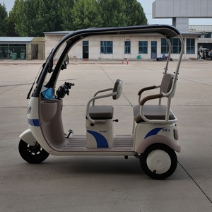 Chariot de patrouille à batterie à conduite silencieuse pour la surveillance des jardins botaniques – Offre de gros pour revendeurs - Product Image 4