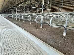 Box per Mucche per Uso Agricolo, Produzione Cinese, Vendita all'Ingrosso, Zincato a Caldo, Personalizzabile, Box Doppio per Mucche con Colonne - Product Image 5