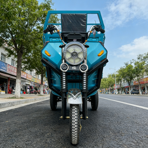 Potente Motocicleta <span class=keywords><strong>de</strong></span> Carga <span class=keywords><strong>de</strong></span> 3 Ruedas con Batería <span class=keywords><strong>de</strong></span> Plomo-Ácido <span class=keywords><strong>de</strong></span> 60V, Carrocería Abierta, Capacidad <span class=keywords><strong>de</strong></span> Carga <span class=keywords><strong>de</strong></span> 400 kg, Velocidad <span class=keywords><strong>de</strong></span> 30 km/h, Motorizada, 2 GCC/Dot - Product Image 3