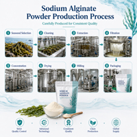 Alginate de sodium de qualité alimentaire pour l'épaississement des sauces, du ketchup et des condiments