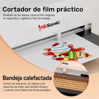 InkSonic Imprimante DTF C13B L1800 13 pouces A3+ programme agence régionale formation et service après-vente