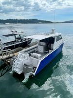 8.8m 29ft En Aluminium soudé catamaran bateau mer cruiser aluminium cabine de bateau de pêche à vendre
