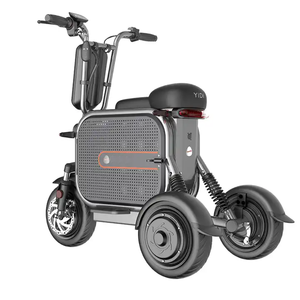 Scooter de mobilité à 3 roues pour adultes 48V 2023 avec panier pour animaux de compagnie et moteurs sans balais 500W/1000W - Product Image 3