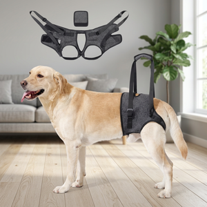 Arnés de Soporte Ajustable para Mascotas, Correa de Poliéster Transpirable para Levantar las Patas Traseras del Perro, para Ayudar a Caminar Diariamente - Product Image 3