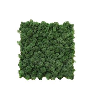 Hflora Offre Spéciale naturel mousse préservée meilleur vendeur préservé renne mousse panneau stabilisé pour la décoration de mariage - Product Image 1