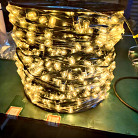 100M LED Clip-Lichterkette für Weihnachtsbaumdekoration