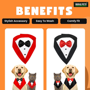 Corbata de Moño de Lujo de Alta Calidad, Accesorio de Moda para Mascotas con Ajuste Cómodo y Ajustable para Perros y Gatos, Ideal para Bodas y Fiestas - Product Image 3