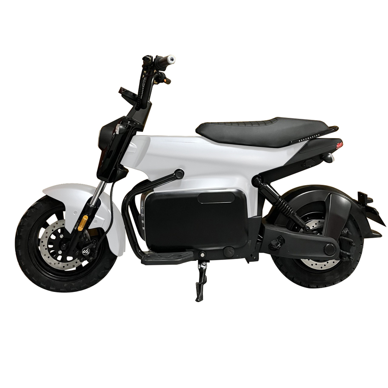 Factory OEM Multi Utility Electric Bicycle
