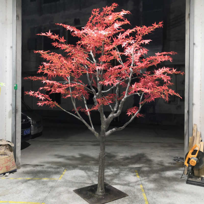Tree 7