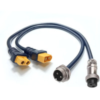 Câble de chargeur de batterie au lithium avec connecteur d'alimentation aviation Amass XT60 vers GX16 à 2 broches, longueur personnalisée