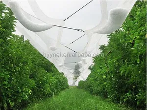 植物保護アンチヘイルネット/温室防虫メッシュ