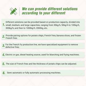Ligne de production semi-automatique de frites surgelées - Product Image 6