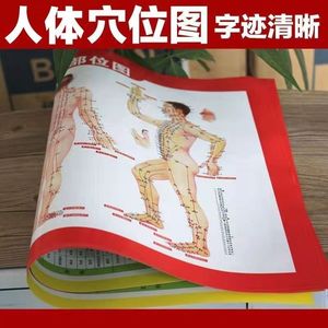 Diagrama de puntos de acupuntura, tabla de meridianos humanos para masaje de pies, terapia de ventosas, guía de referencia, tamaño estándar 39x26 cm - Product Image 5